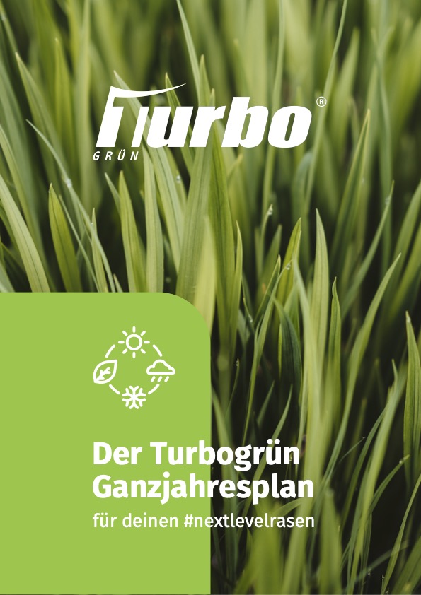 Ganzjahresplan Klassik mit Links